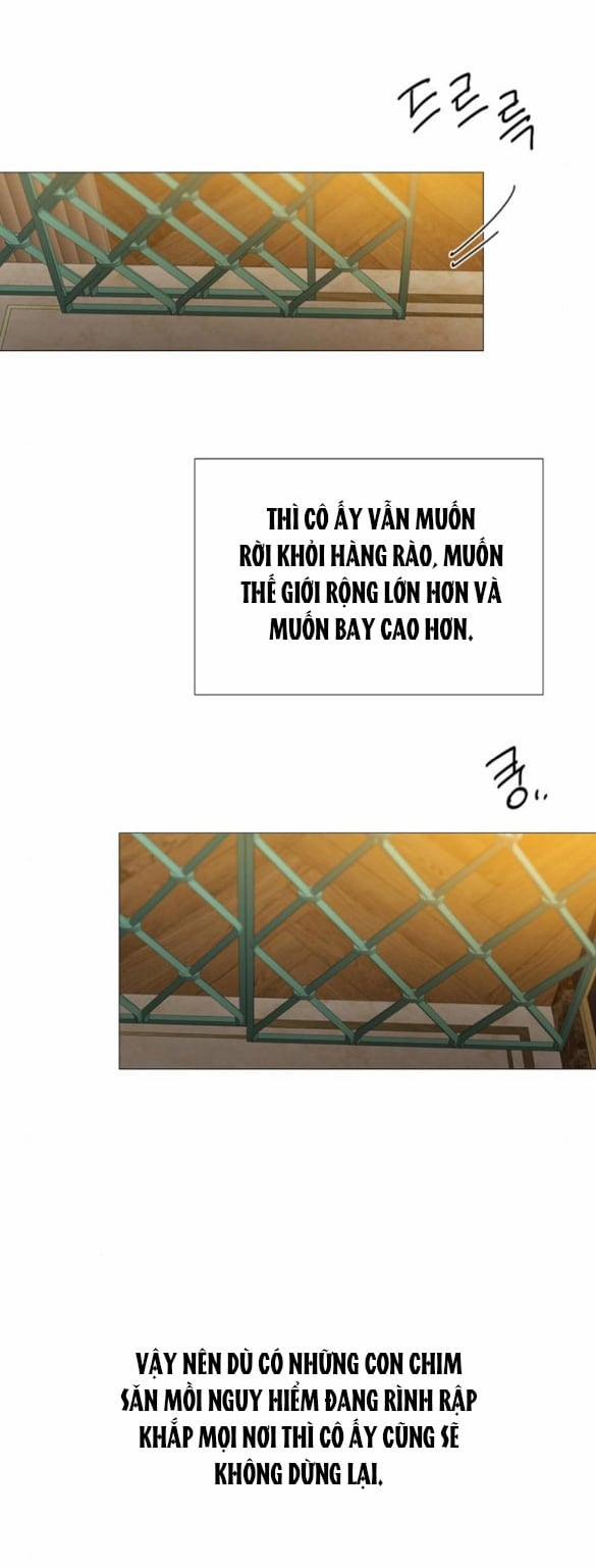 Serena 84.1 trang 11