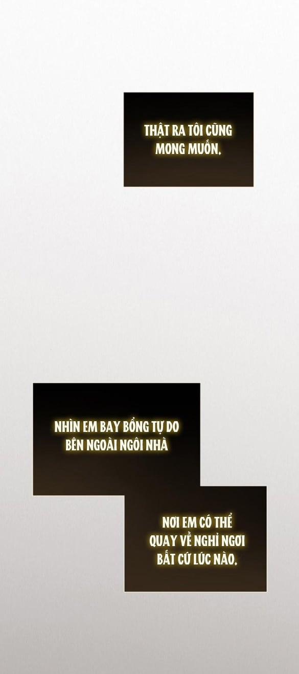 Serena 84.1 trang 17