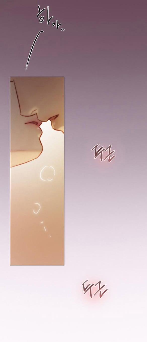 Serena 84.2 trang 24