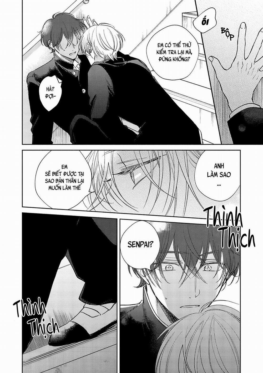 Seventeen Syrups 2 trang 15