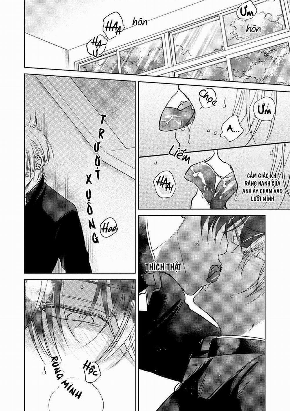 Seventeen Syrups 2 trang 21