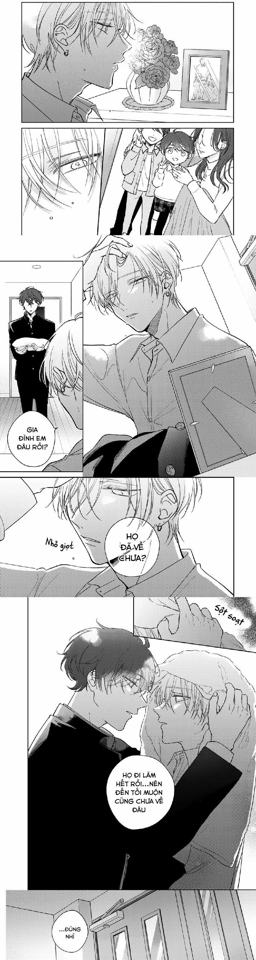 Seventeen Syrups 3 trang 6