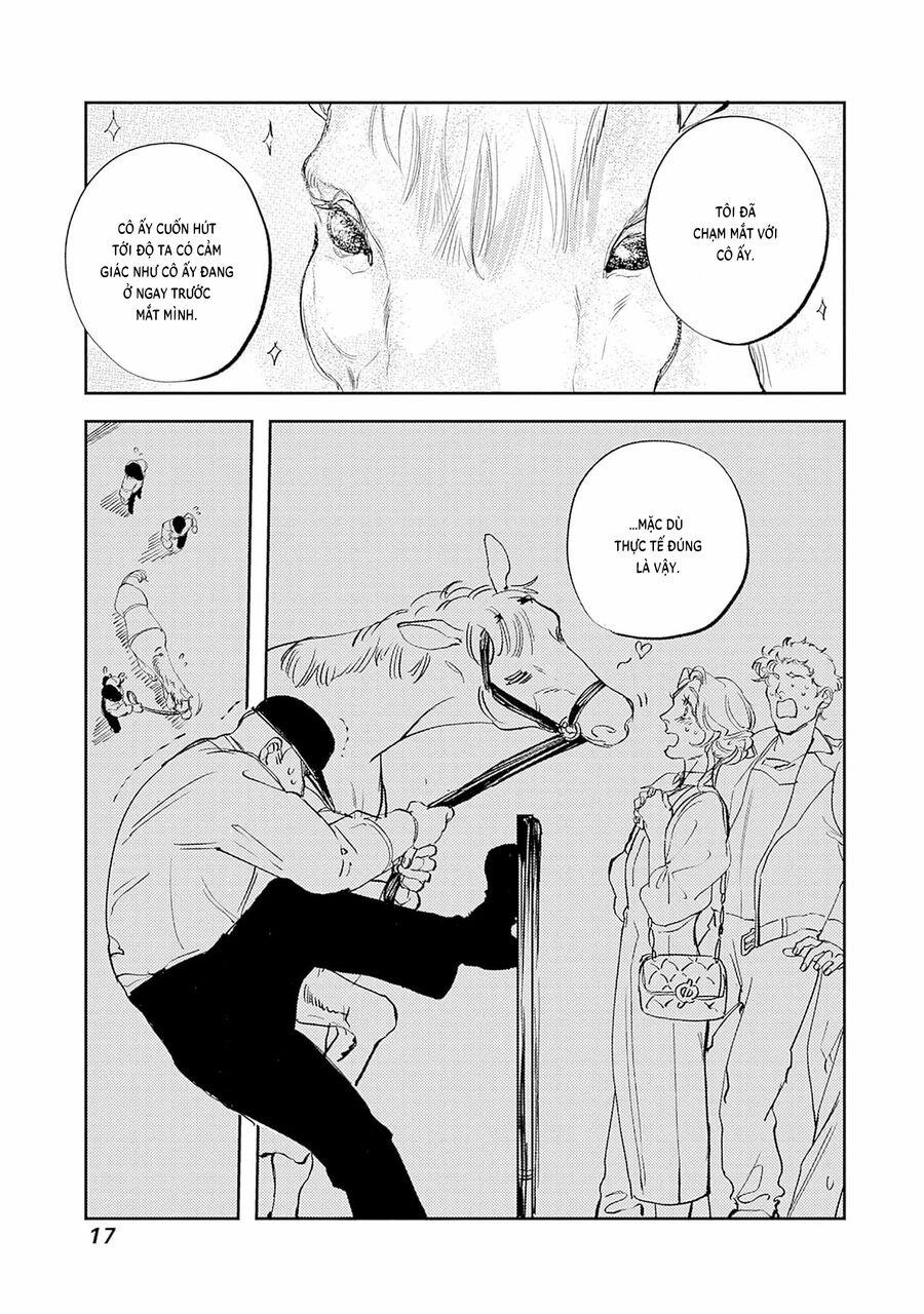 Shepherd House Hotel 9 trang 19