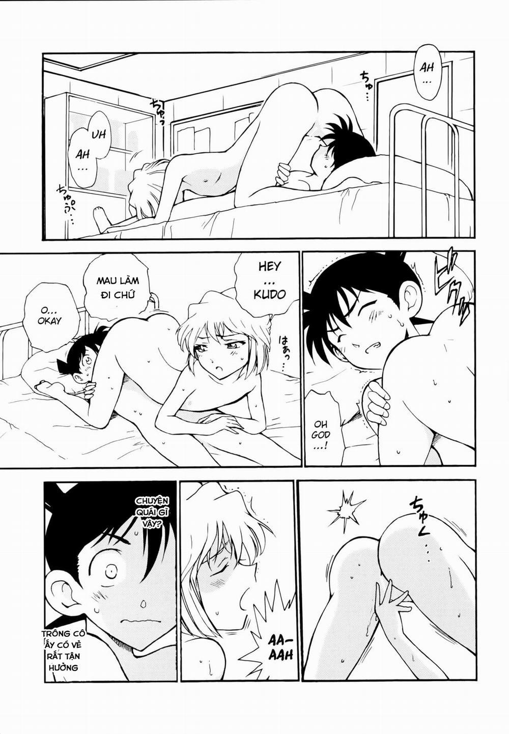 Sherry my love (Detective Conan) Oneshot trang 22