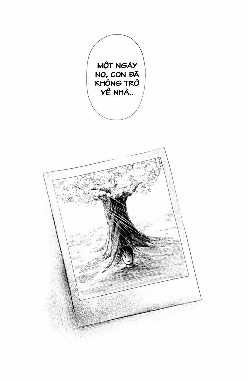 Shibatarian 11 trang 9