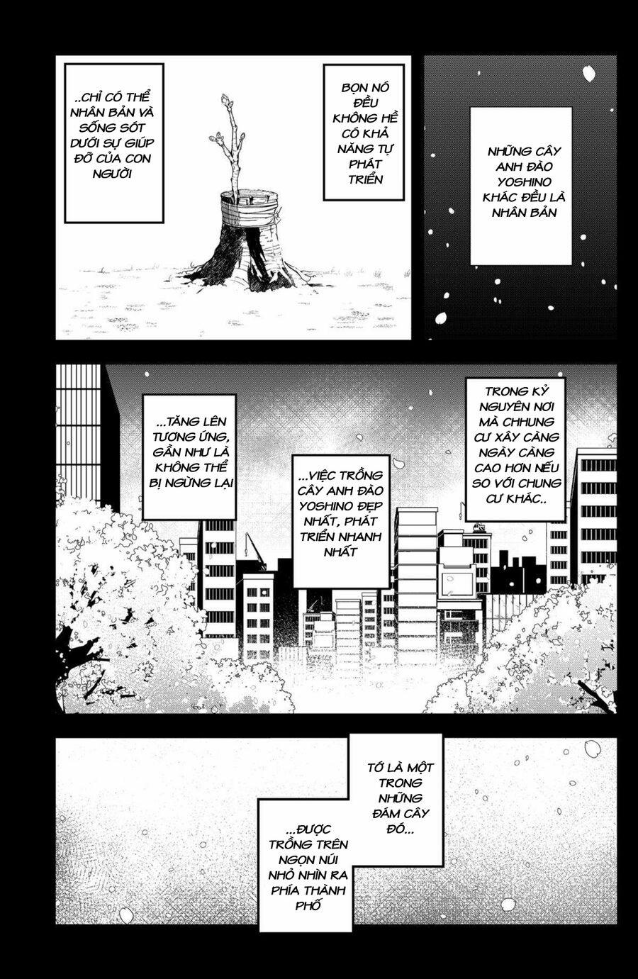 Shibatarian 20 trang 4