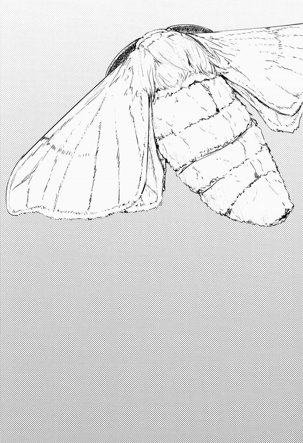 Shiragasane 2 0 Shiro Kasane 0 Duệ trang 3