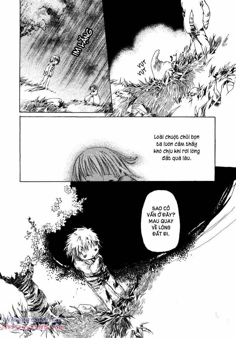 Shiroi Kumo 6 trang 9