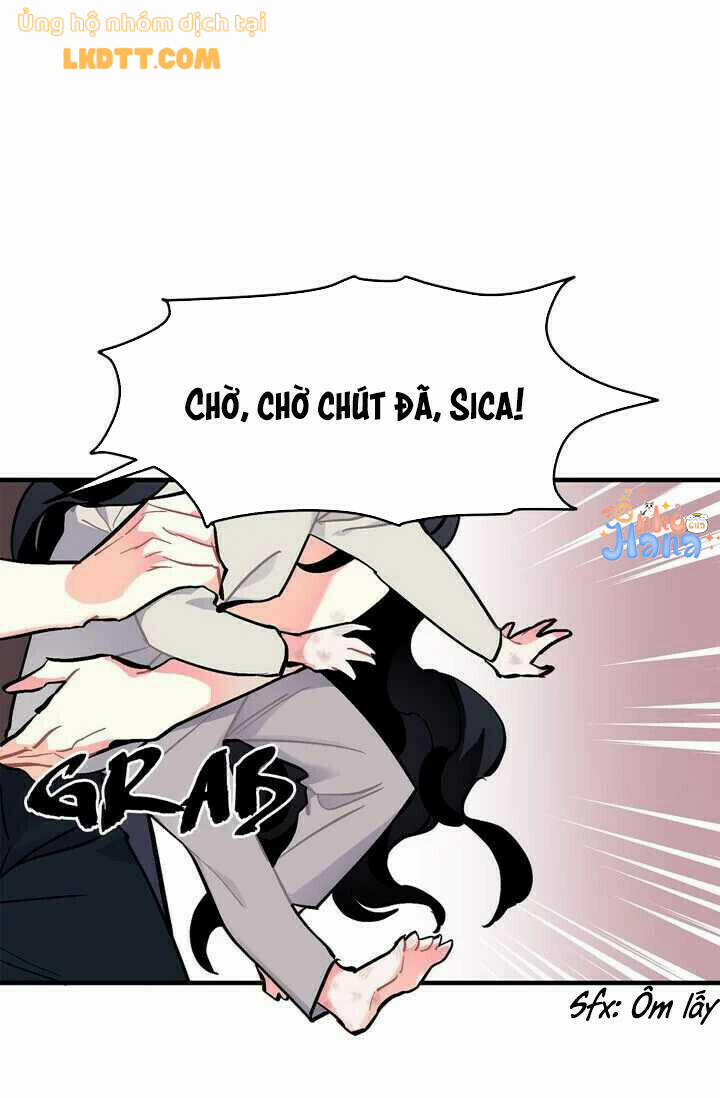 Sica Wolf 73 trang 7