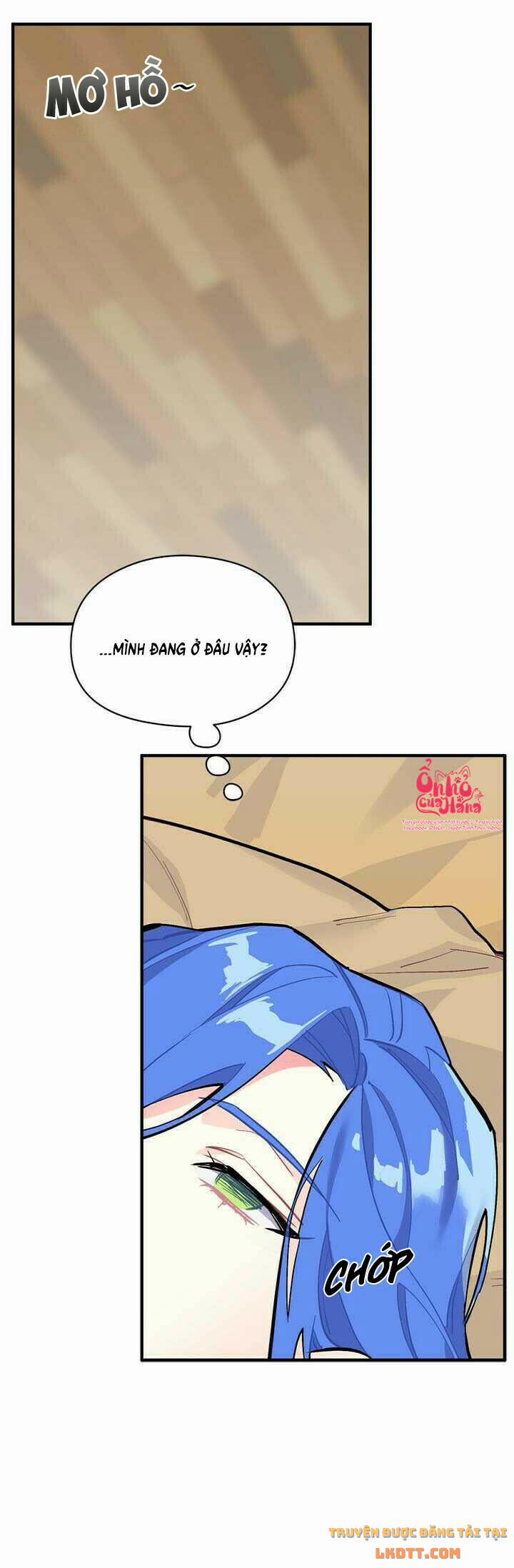 Sica Wolf 75 trang 2