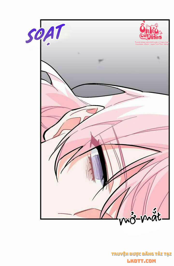 Sica Wolf 75 trang 24