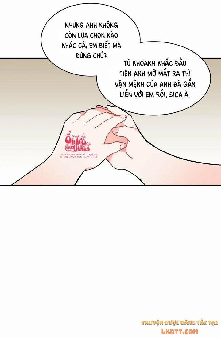 Sica Wolf 83 trang 16