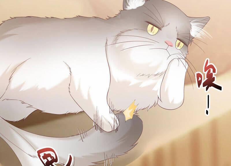 Siêu Năng Bất Lương Học Bá 7 trang 71