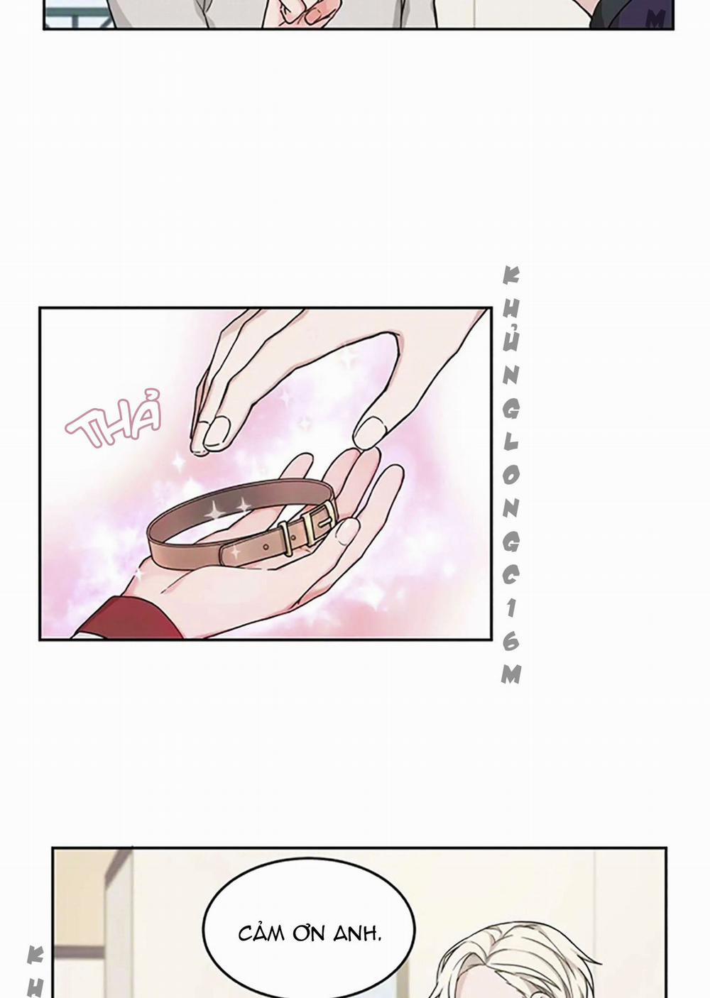 Sit, Wait, Kiss Me 10 trang 3