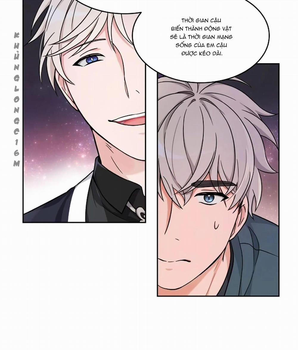 Sit, Wait, Kiss Me 17 trang 45