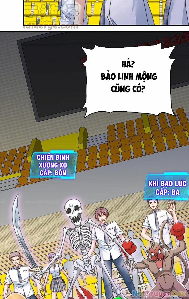 Slime Ta Treo Cự Long Lên Đánh Là Hợp Lý Nhỉ? 1 trang 37