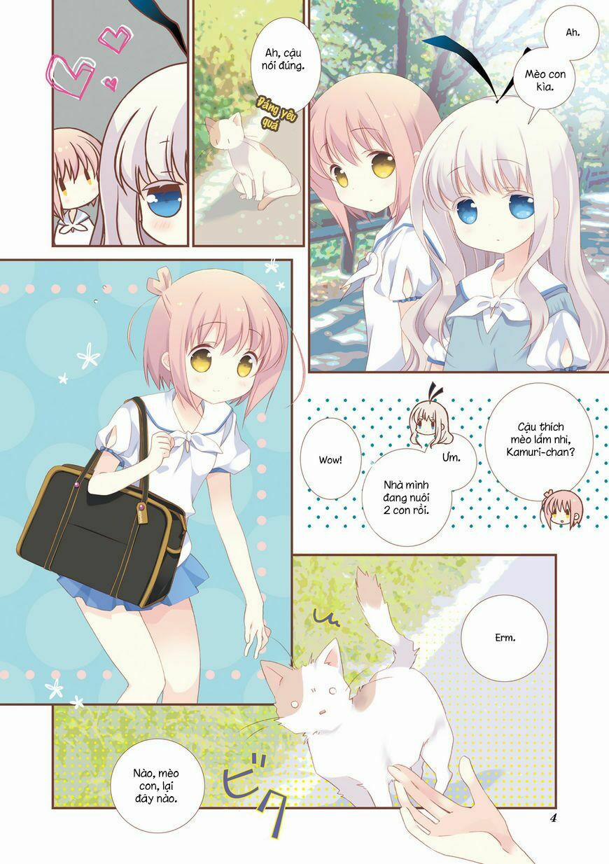Slow Start 14 trang 8