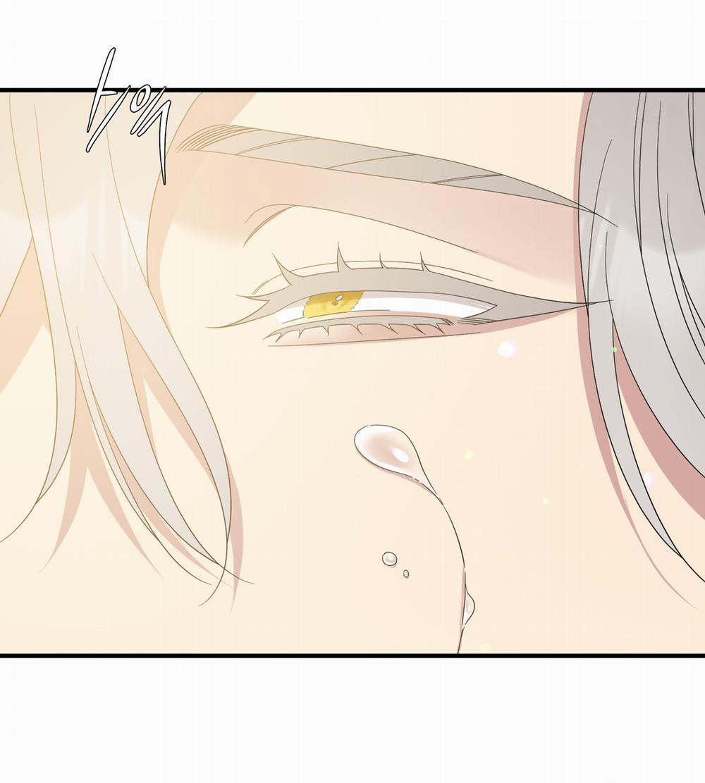 Smirna And Capri 67.1 trang 95