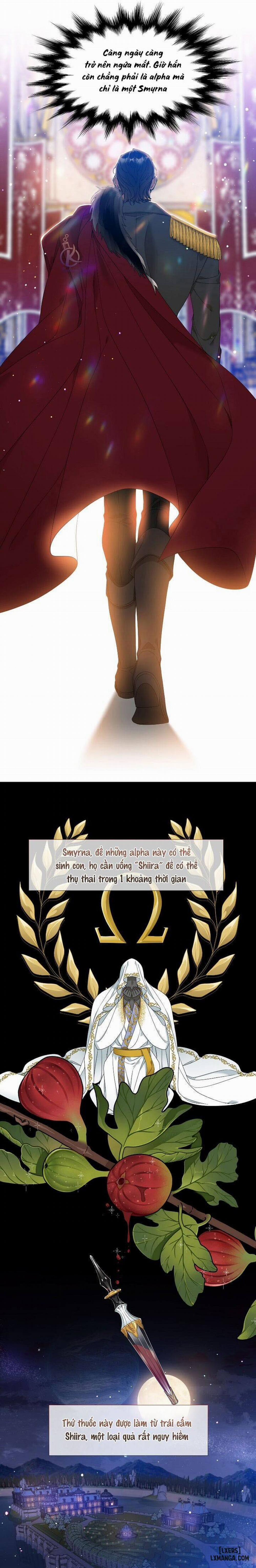 SMYRNA VÀ CAPRI 1 trang 8