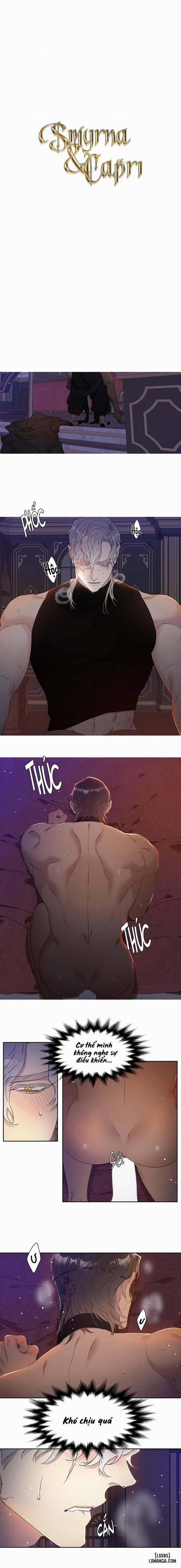 SMYRNA VÀ CAPRI 2 trang 0