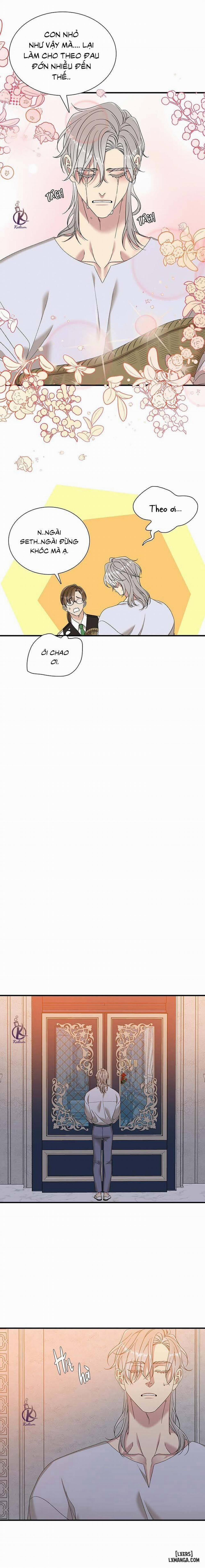 SMYRNA VÀ CAPRI 46 trang 8