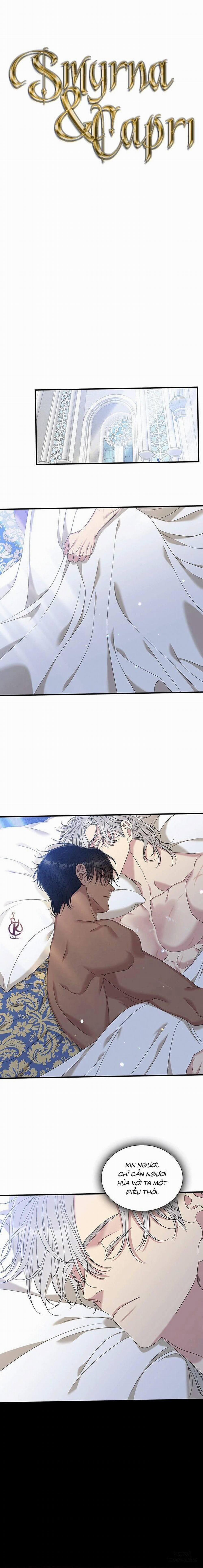 SMYRNA VÀ CAPRI 48 trang 0