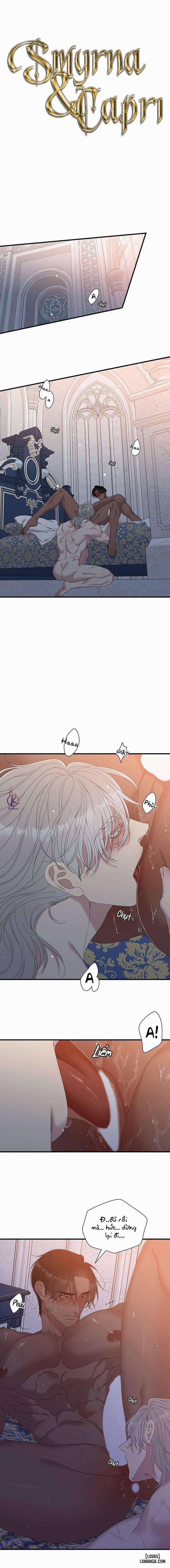 SMYRNA VÀ CAPRI 51 trang 0
