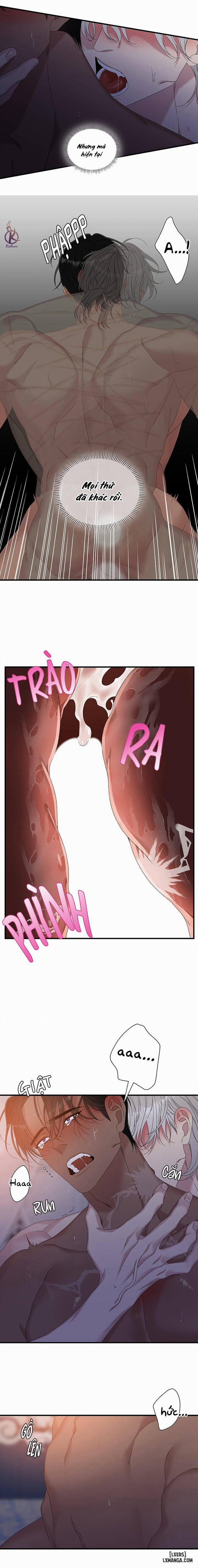 SMYRNA VÀ CAPRI 51 trang 12