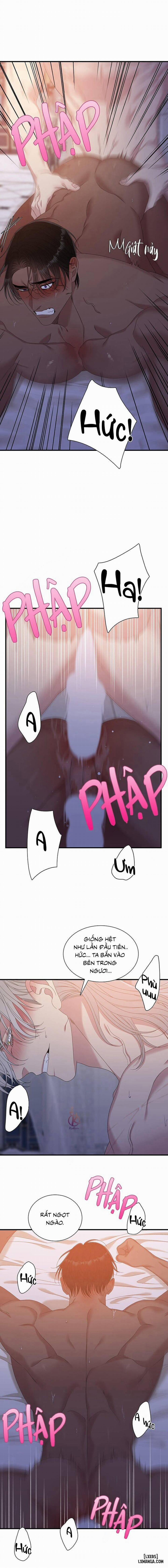 SMYRNA VÀ CAPRI 51 trang 8