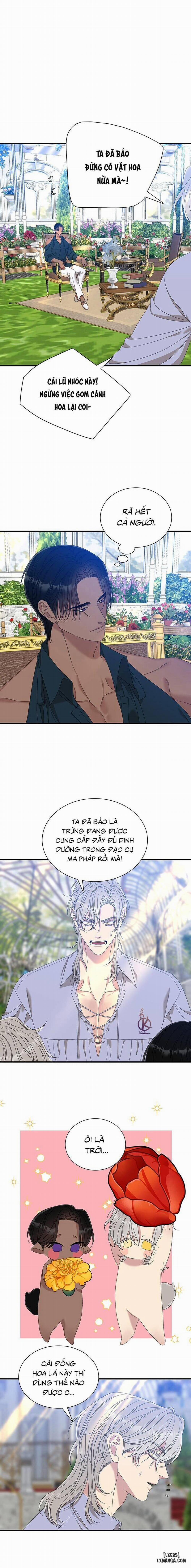 SMYRNA VÀ CAPRI 52 trang 11