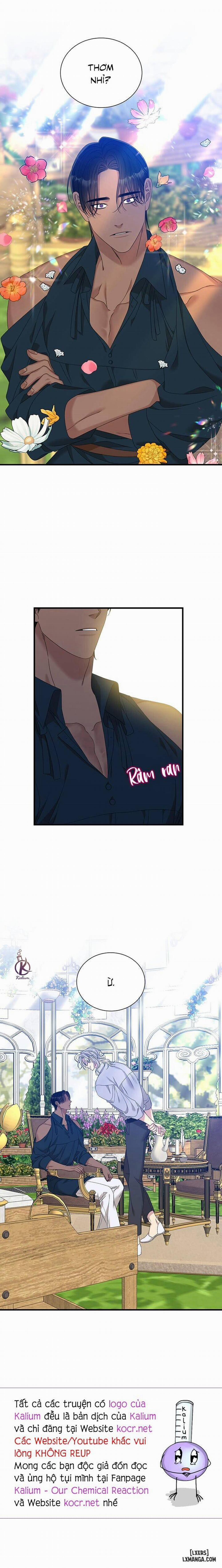 SMYRNA VÀ CAPRI 52 trang 13