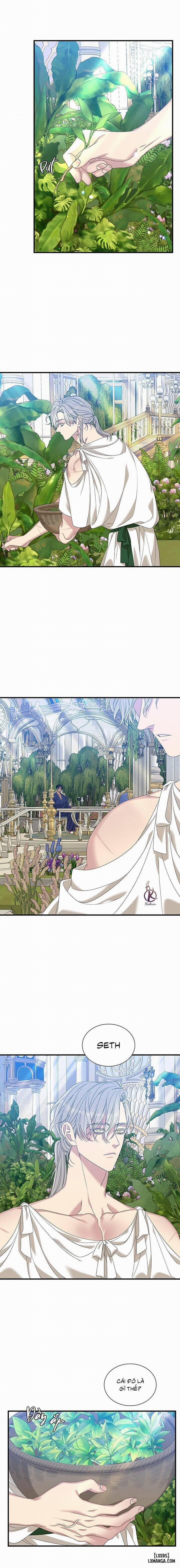 SMYRNA VÀ CAPRI 54 trang 2