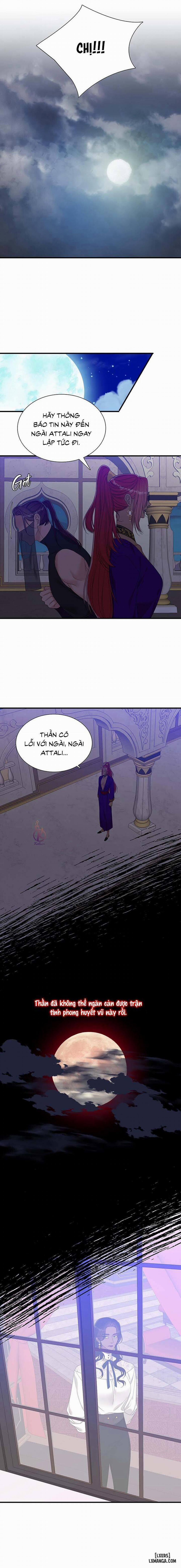 SMYRNA VÀ CAPRI 55 trang 12