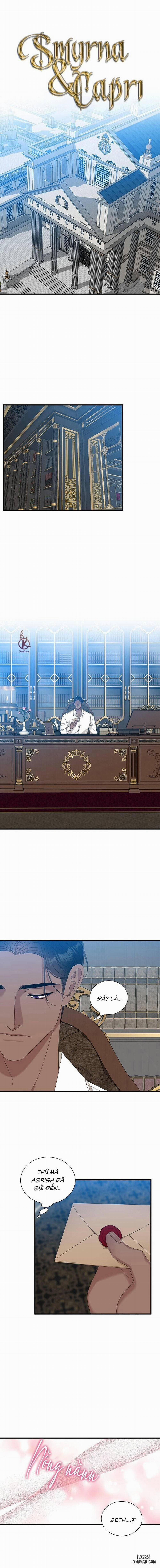 SMYRNA VÀ CAPRI 61 trang 0