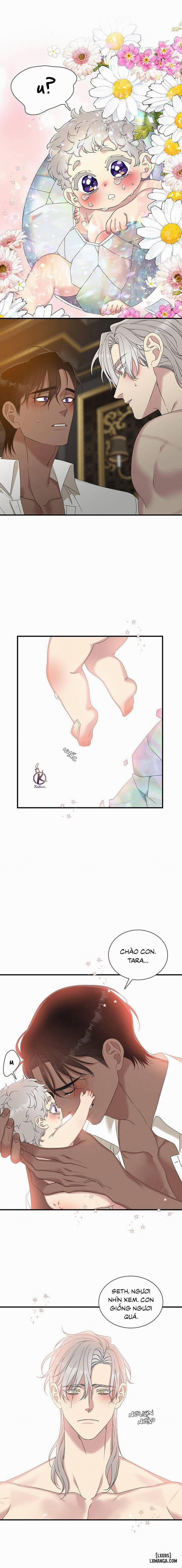 SMYRNA VÀ CAPRI 70 0 Hết trang 0