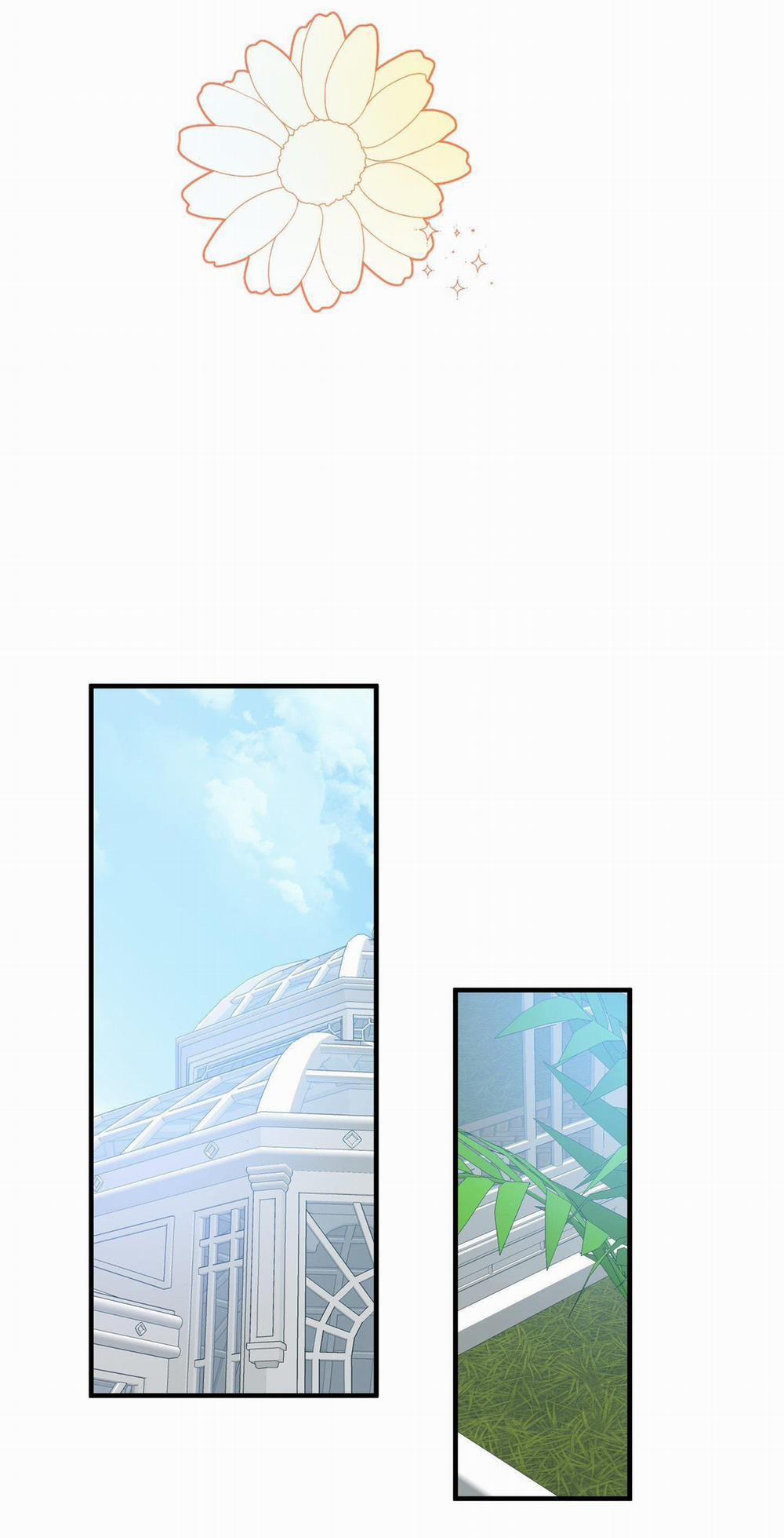 SMYRNA VÀ CAPRI 70 trang 14