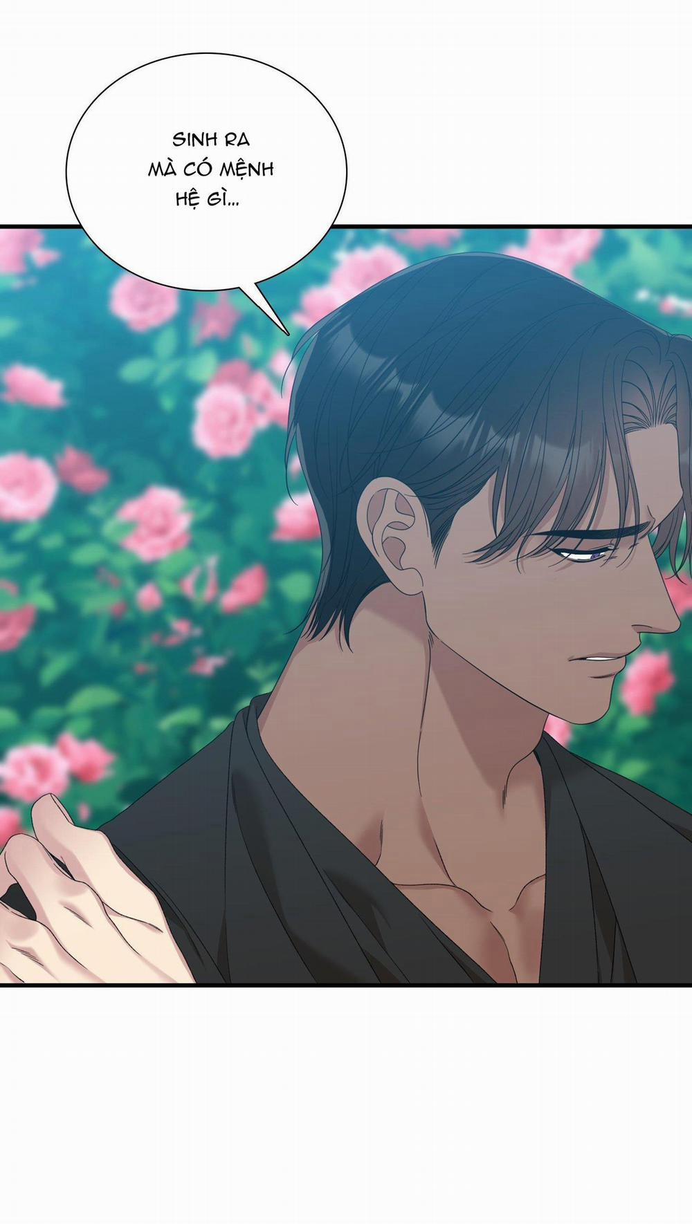 SMYRNA VÀ CAPRI 70 trang 41