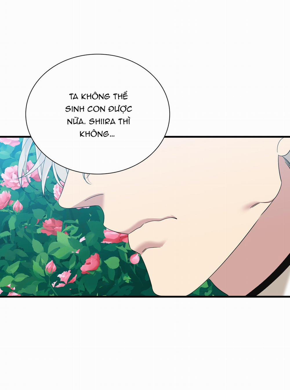 SMYRNA VÀ CAPRI 70 trang 43