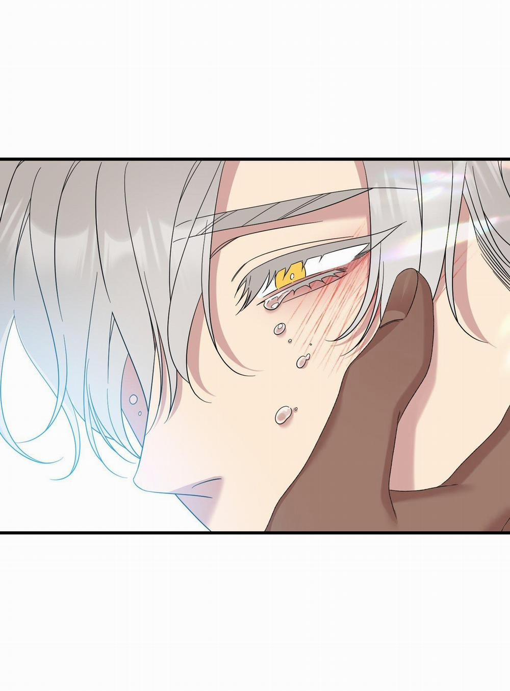 SMYRNA VÀ CAPRI 70 trang 47