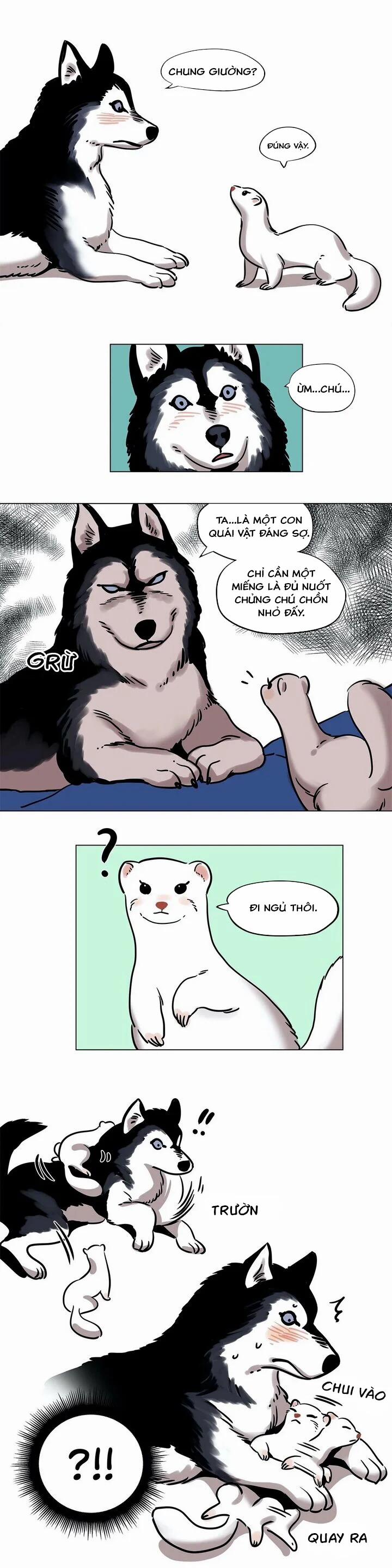 Snow Man 11.5 trang 5