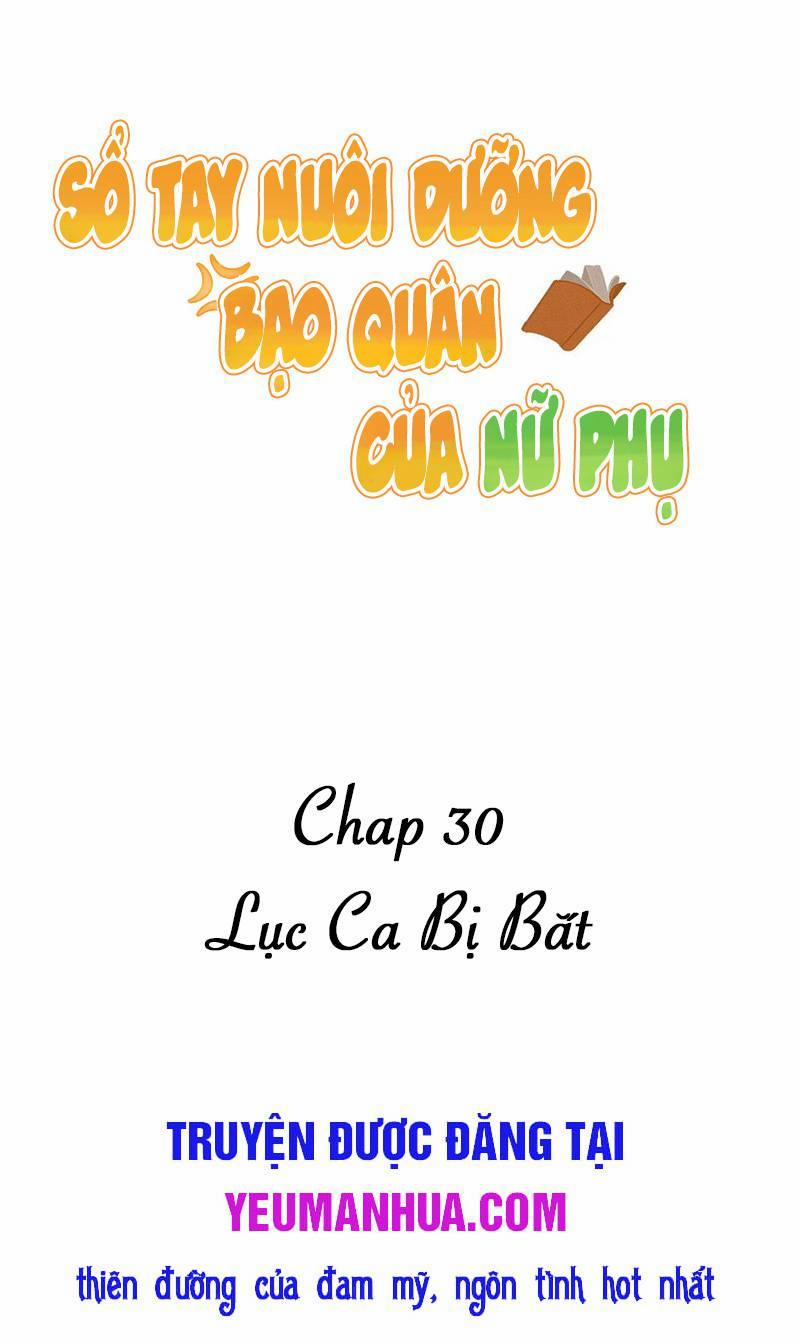 Sổ Tay Nuôi Dưỡng Bạo Quân Của Nữ Phụ 30 trang 0