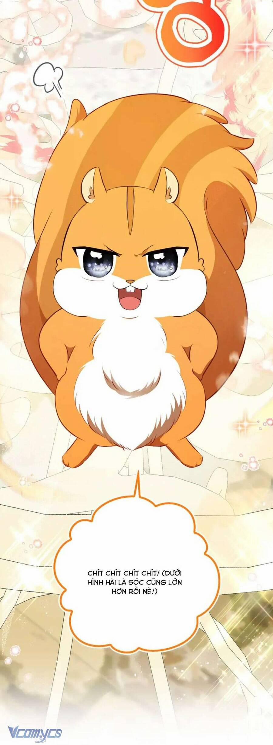 Sóc Nhỏ Tài Năng 100 trang 20