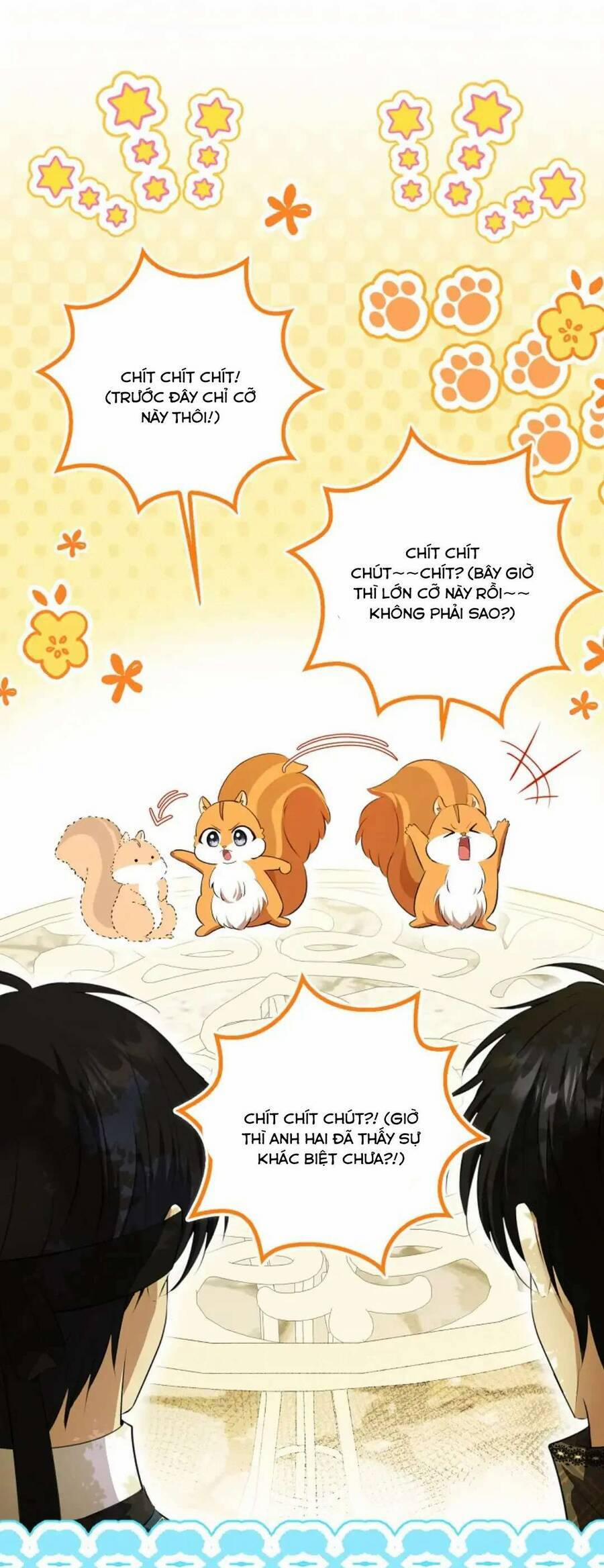 Sóc Nhỏ Tài Năng 100 trang 21