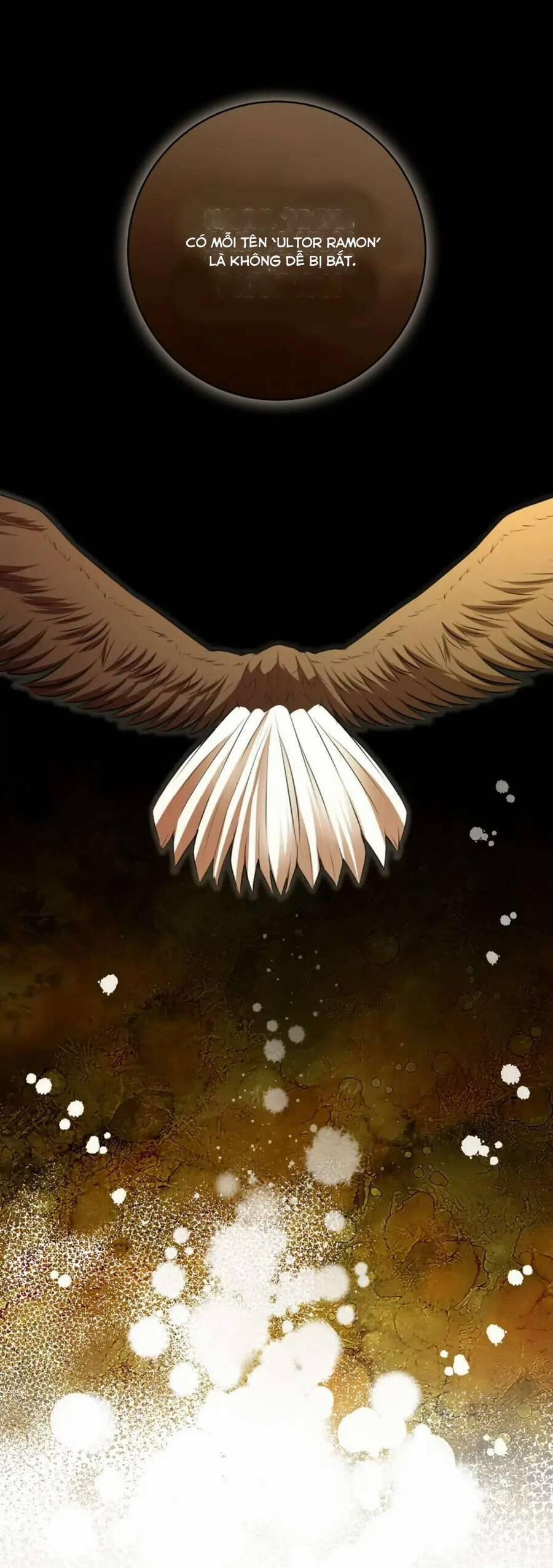 Sóc Nhỏ Tài Năng 100 trang 34