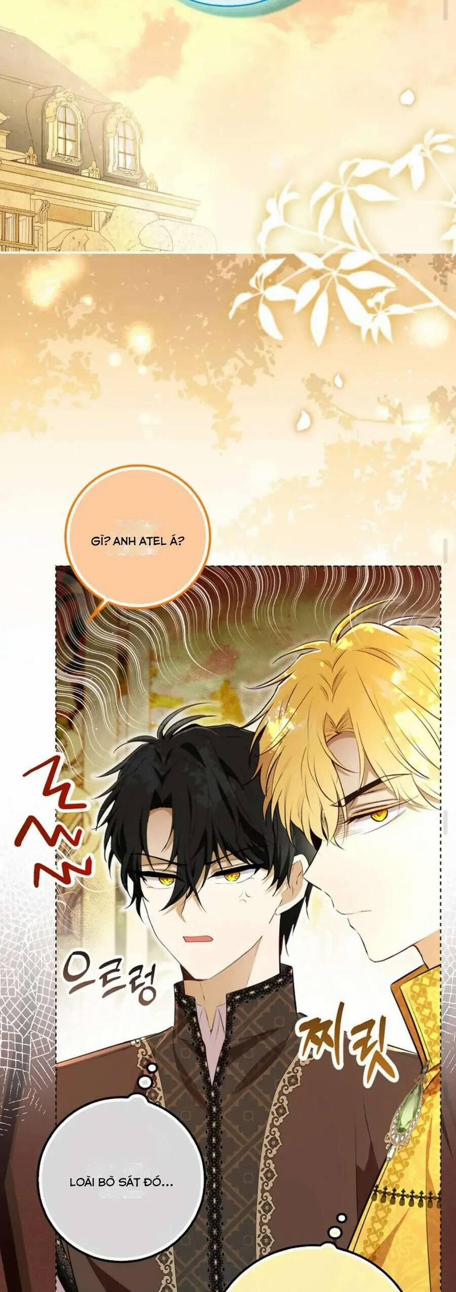 Sóc Nhỏ Tài Năng 100 trang 37