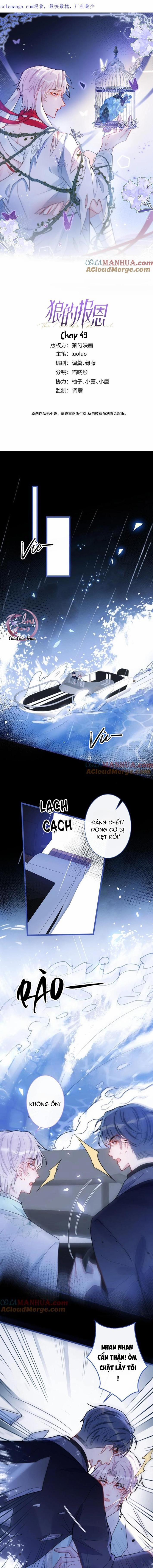 Sói Báo Ơn (END) 49 trang 0