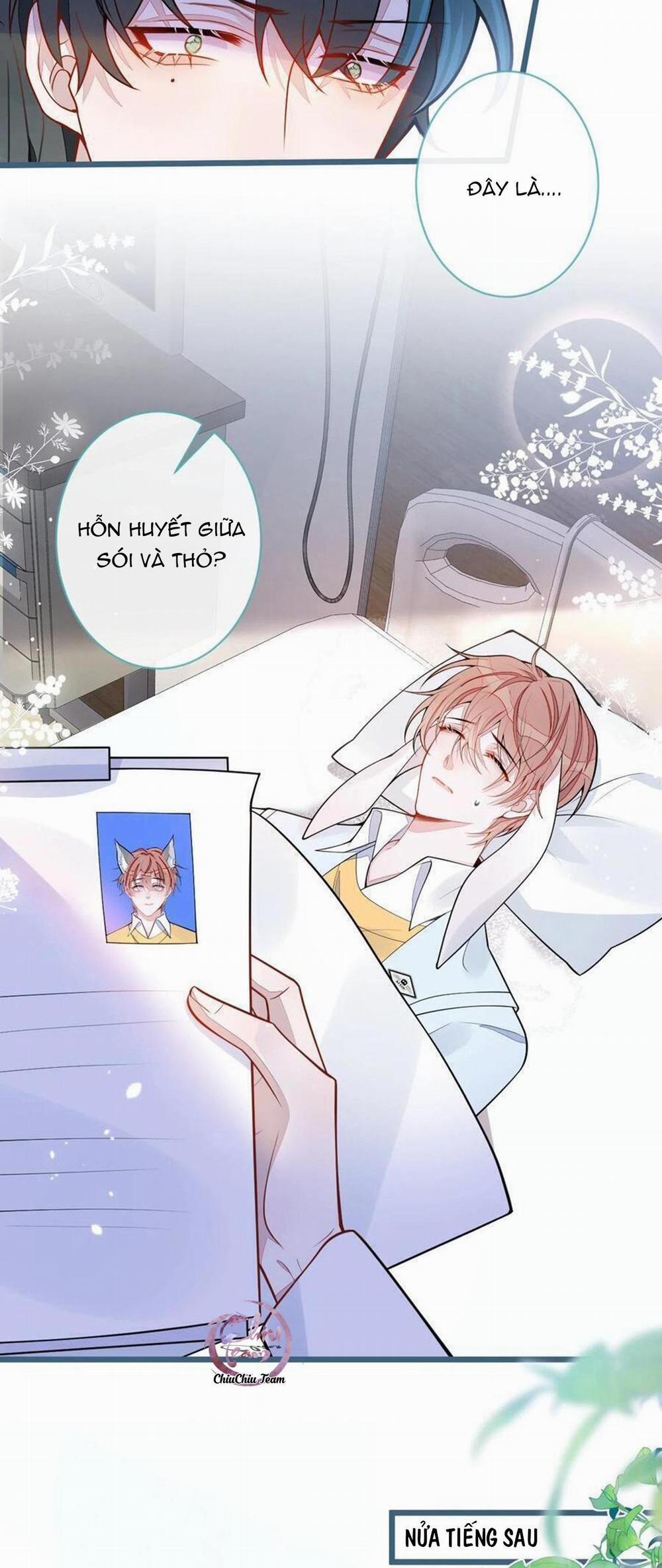 Sói Báo Ơn (END) 52 trang 15