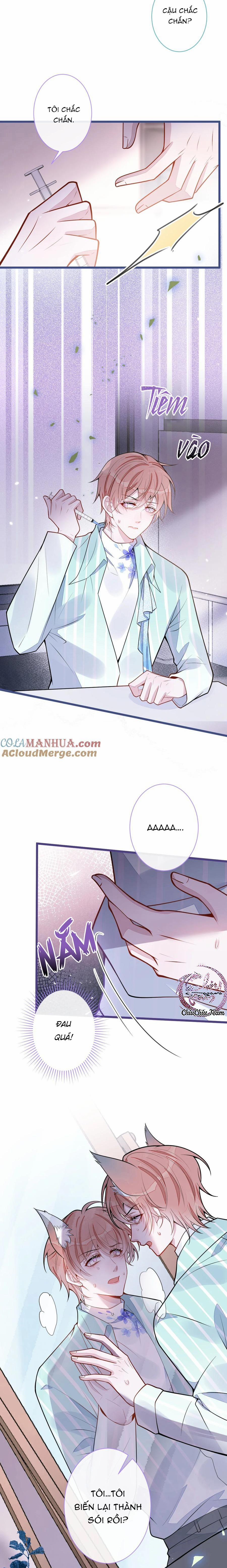 Sói Báo Ơn (END) 55 trang 9