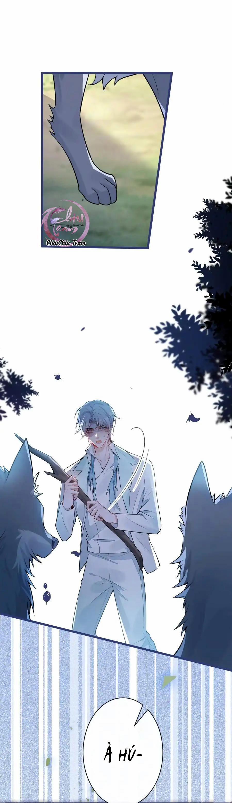 Sói Báo Ơn (END) 56 trang 4