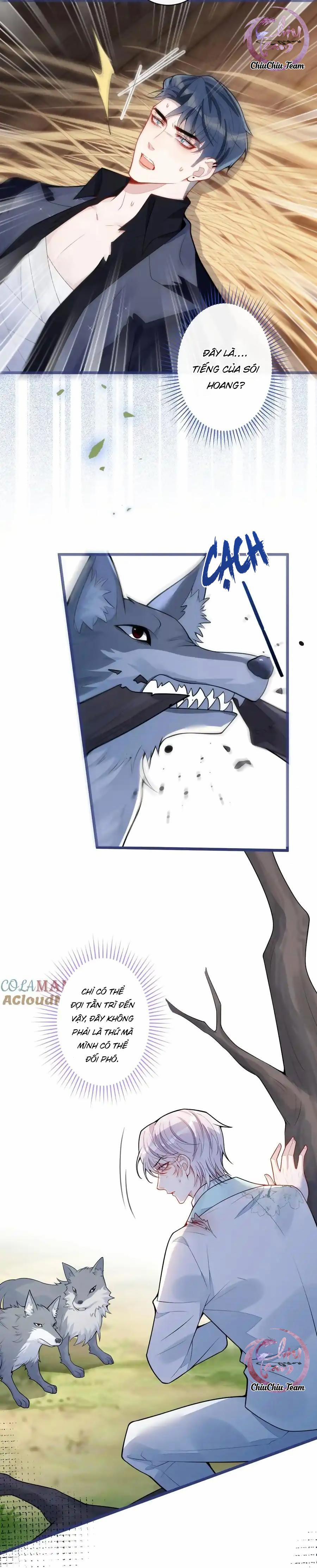 Sói Báo Ơn (END) 56 trang 5